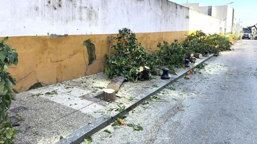 Vecinos de San Juan, en pie de guerra por una obra con cortes totales en sus calles y la tala de 32 árboles
