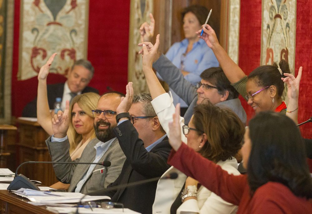 Pleno del Ayuntamiento de Alicante