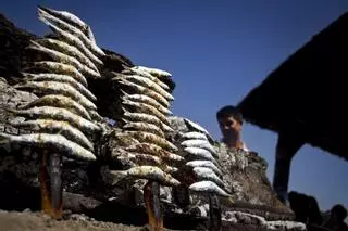 El consell d'un metge:  "Menjar sardines és de les millors coses que pots fer pel teu cervell"