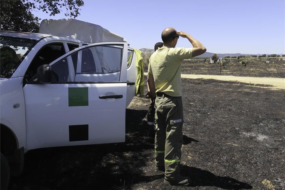 Incendio forestal en Cáceres