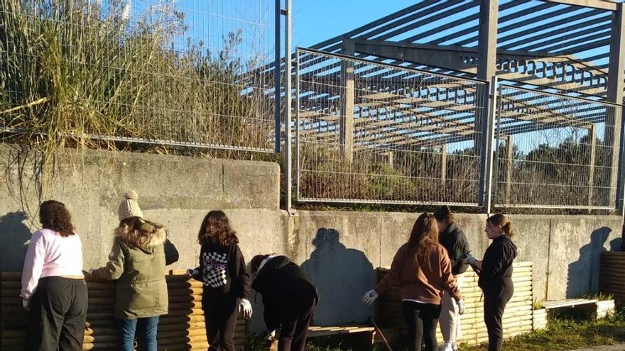 IES As Bizocas, un campo de cultivo educativo