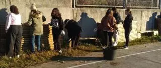 IES As Bizocas, un campo de cultivo educativo