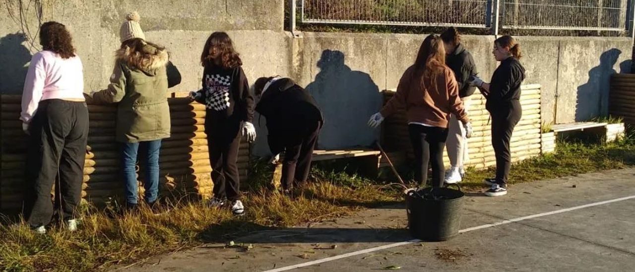 Alumnas del IES As Bizocas acondicionando las jardineras.