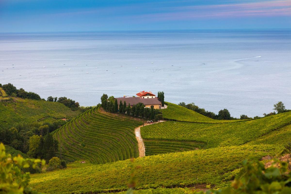 Los viñedos de Getaria