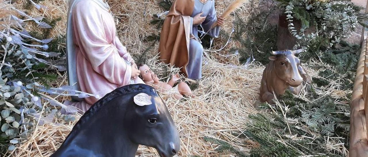 Los gamberros han arrancado literalmente las orejas del burro que forma parte de la escena del Nacimiento instalado a las puertas del ayuntamiento de Vila-real.