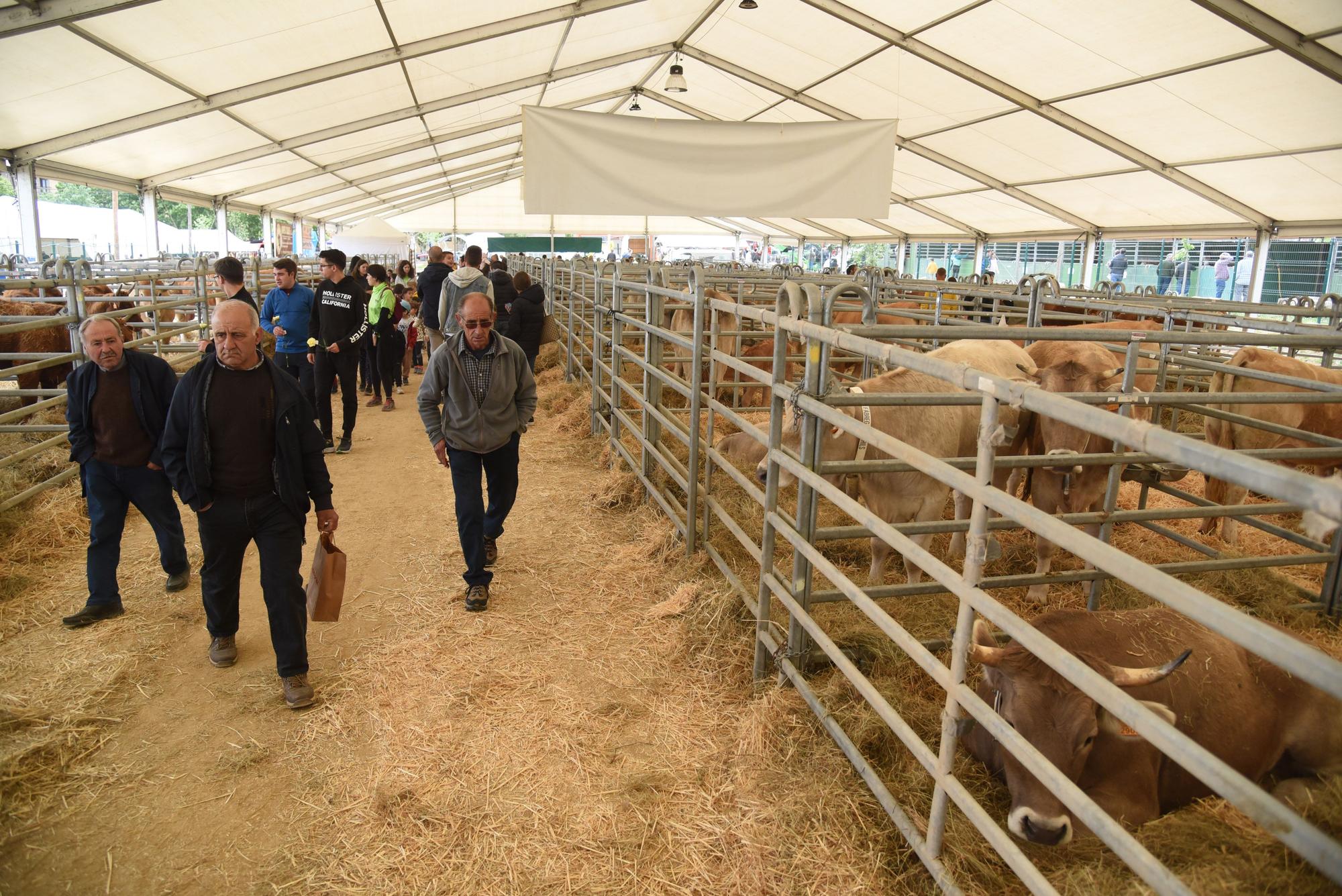 La Fira de Sant Isidre de Solsona obre amb ambient, però pendent del cel