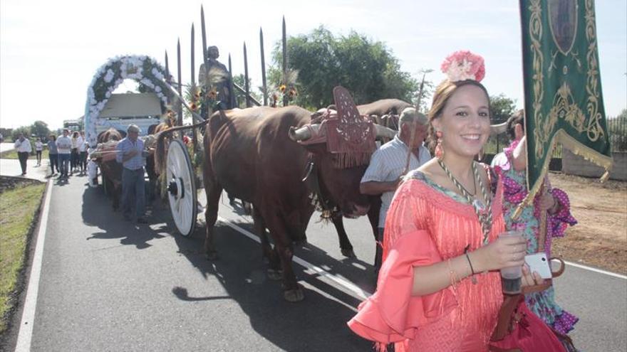 Bueyes, carrozas y gitanas para festejar al patrón de los agricultores