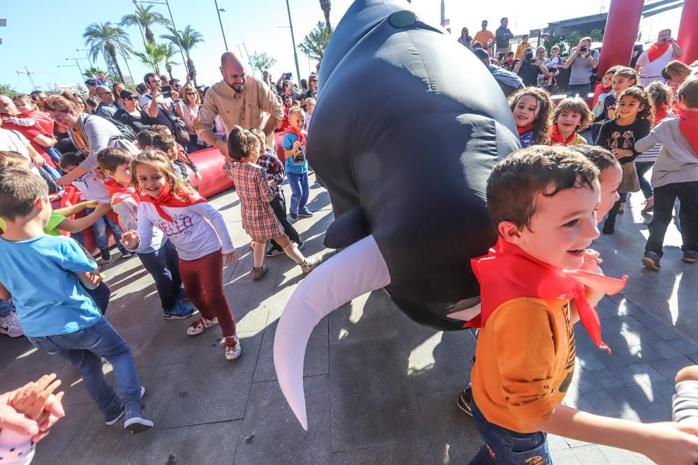 Toros "bravos" y carreras con el San Fermín infantil en de las fiestas patronales de Torrevieja