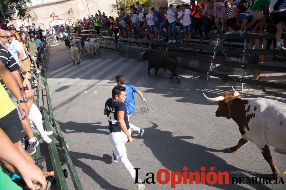 Segundo encierro de Calasparra