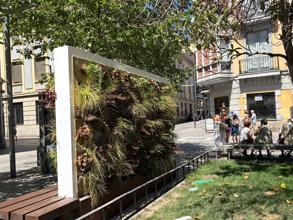Jardines verticales instalados en la plaza de Fernández Duro, junto a Santa Clara.