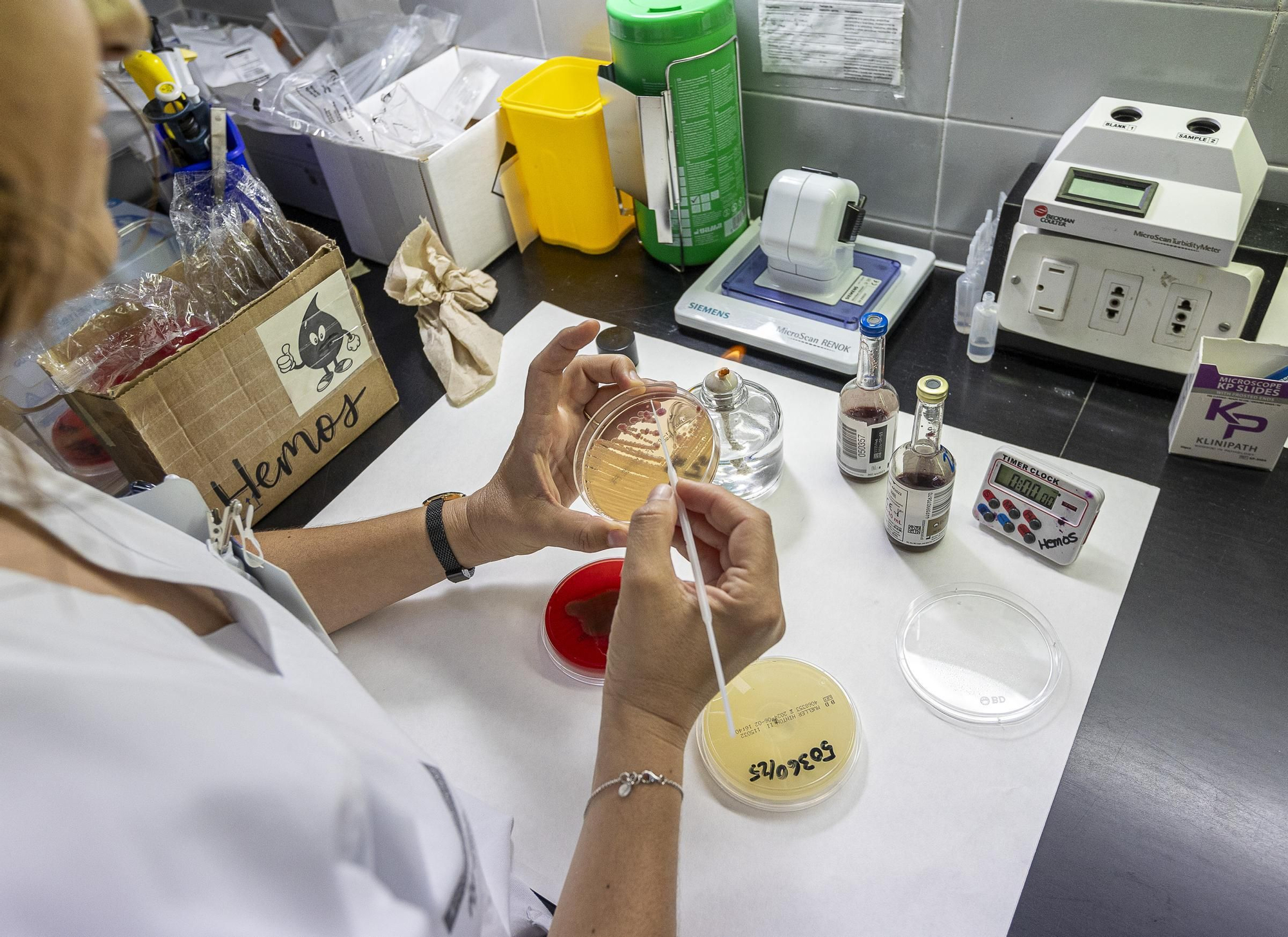 Protocolo para optimizar la respuesta rápida en código sepsis en Alicante