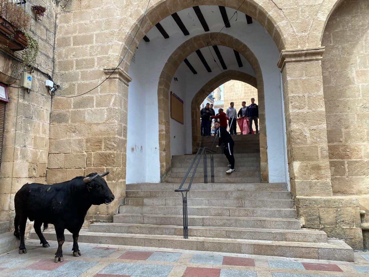 Un momento de los 'bous al carrer' ayer en Xàbia