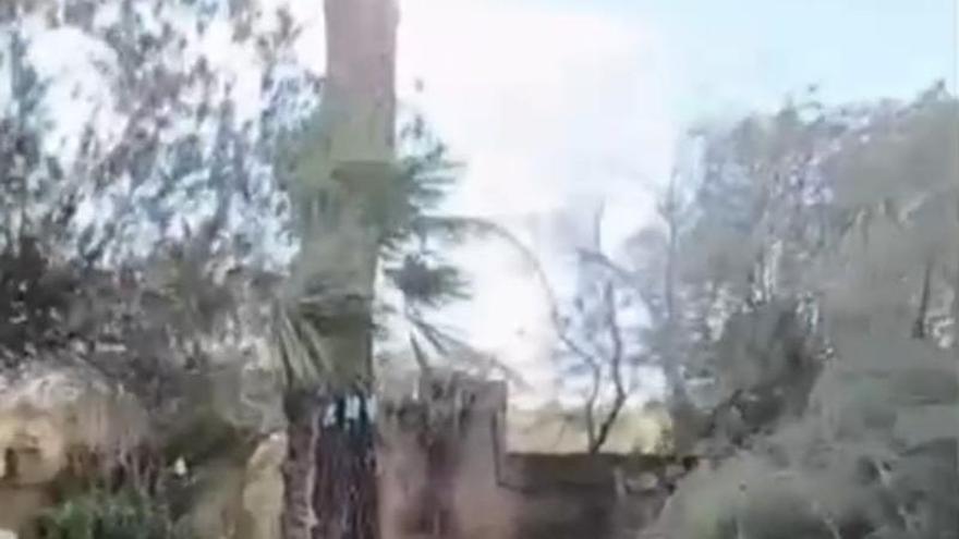 Video | Así ha quedado el jardín del Castillo de las Seguras tras la borrasca Kristin