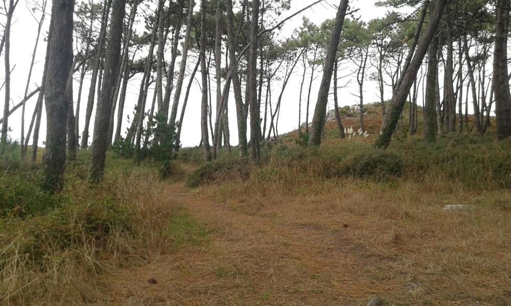 Un paseo por la belleza salvaje de Punta Couso