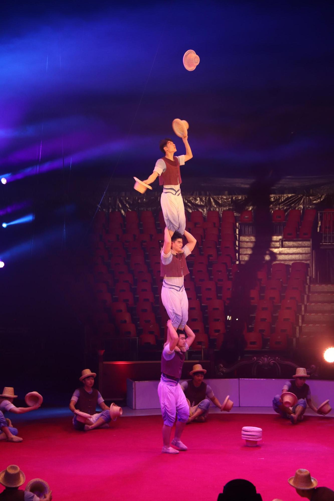 Les millors imatges de la presentació del Festival Internacional de Circ l'Elefant d'Or