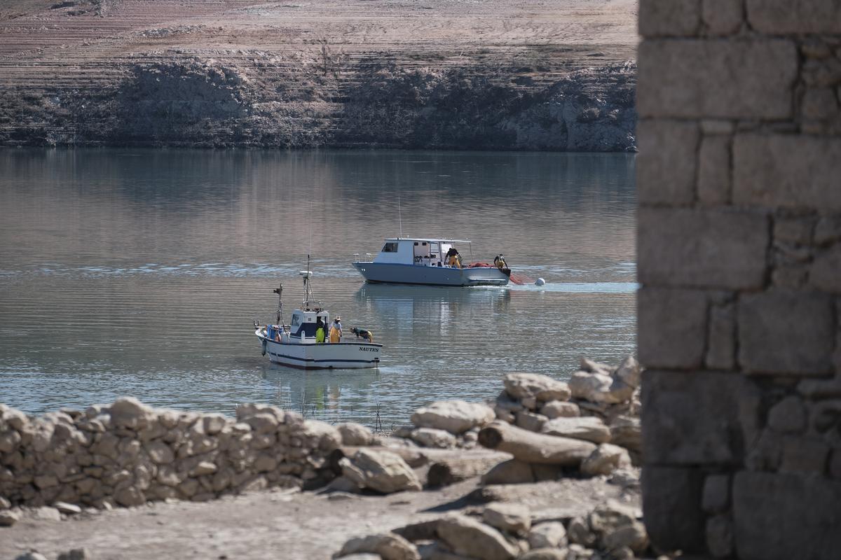 Empieza la retirada de peces del pantano de Sau