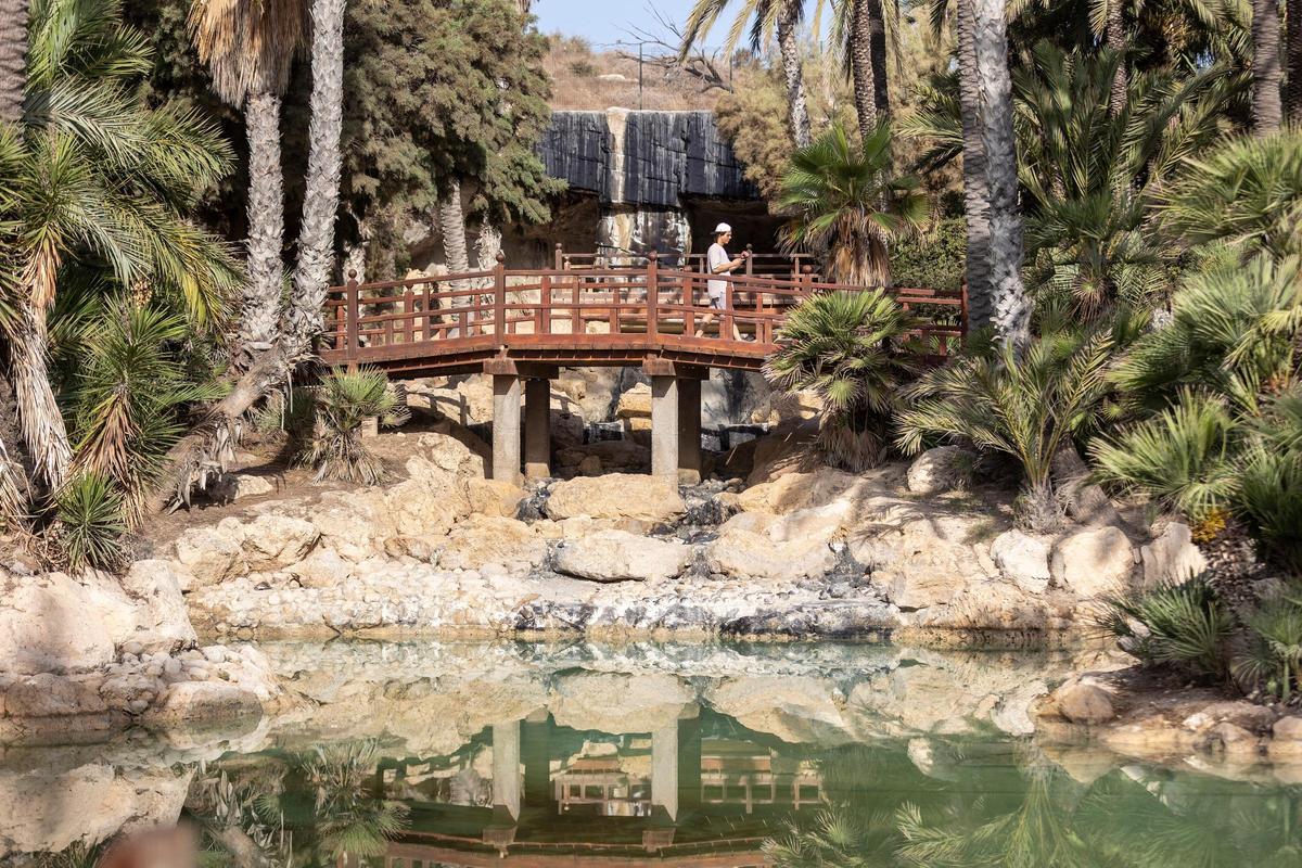 El Palmeral de San Gabriel, sin cascada.