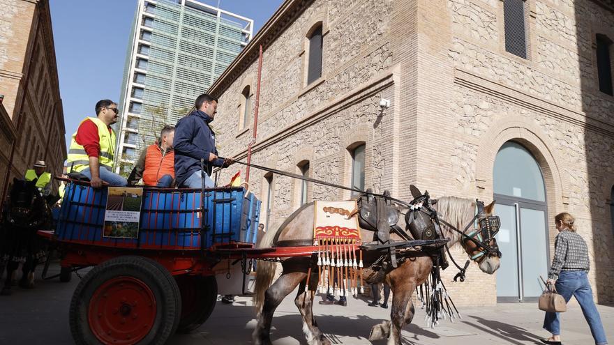 Protesta de agricultores y ganaderos en València por la crisis del sector