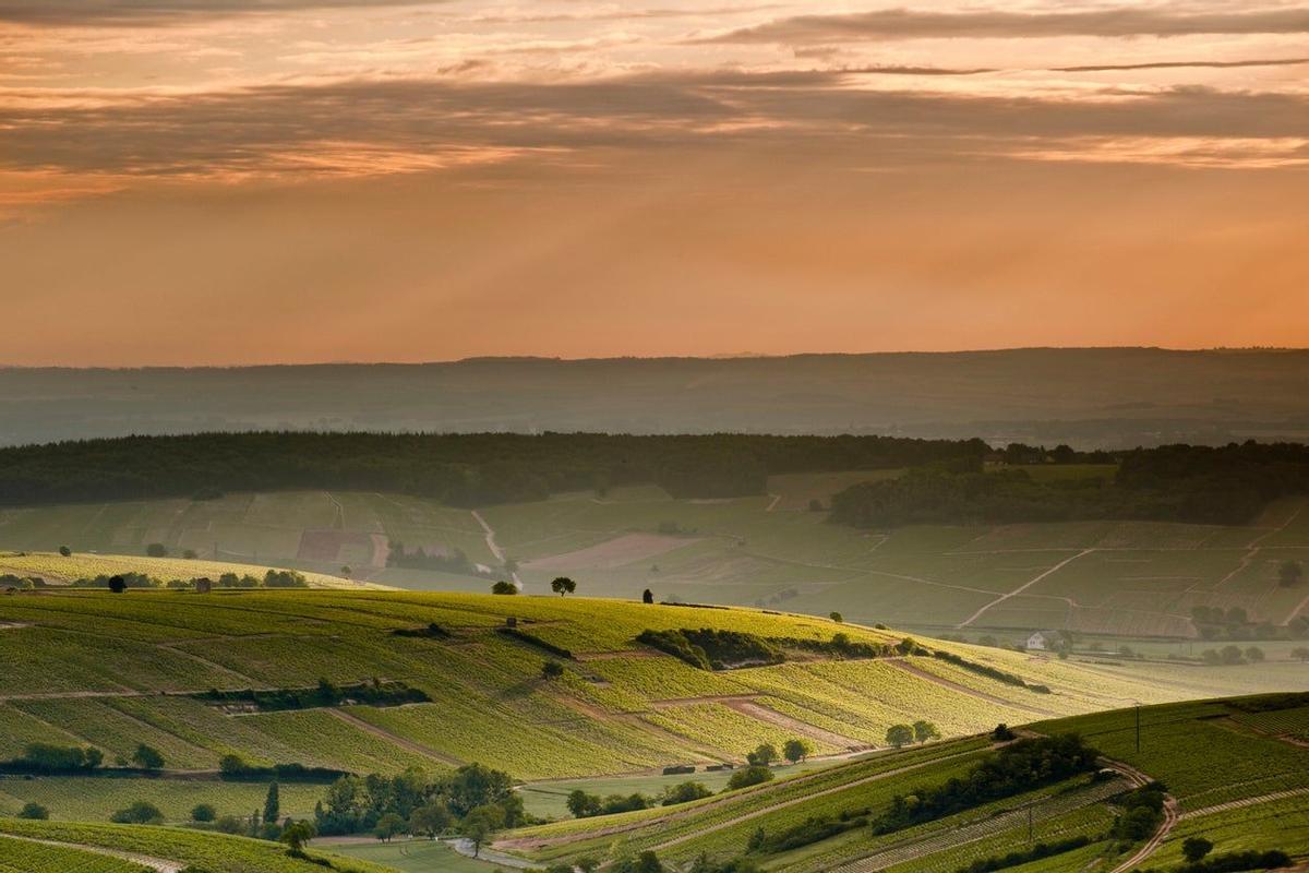 Sancerre, Francia