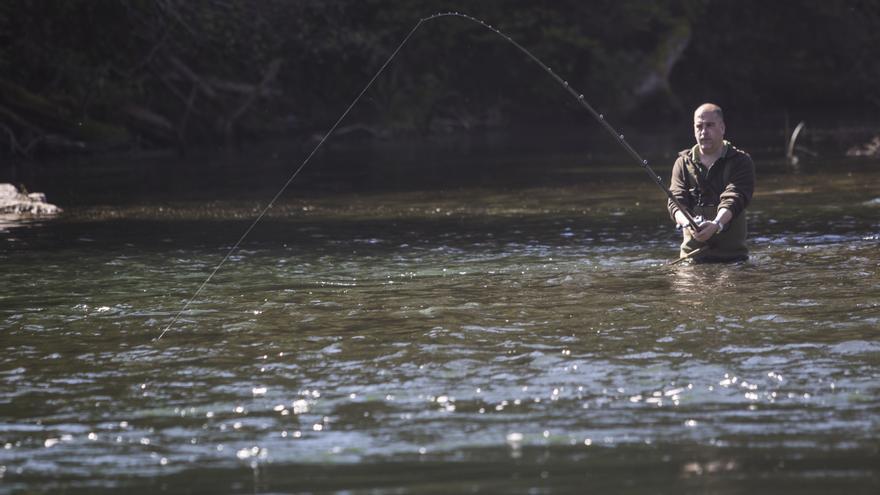 Navarra prohibe pescar salmón en el Bidasoa en 2023 por la &quot;crítica&quot; situación de la especie