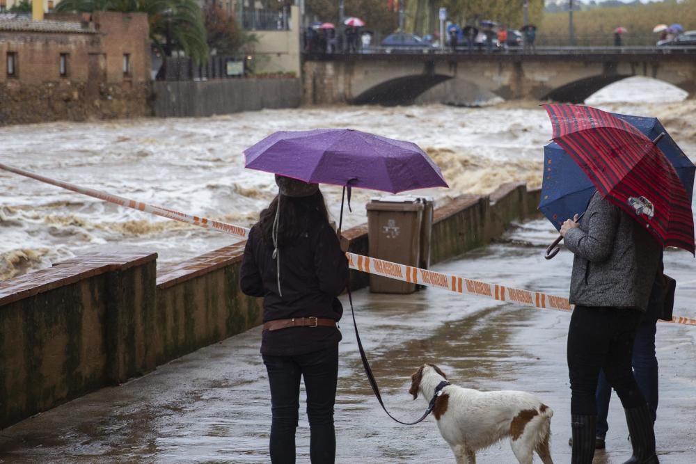 Gent mirant el Daró