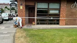 Las abejas invaden un establecimiento hostelero de Oviedo y el dueño se lo toma con humor: "Somos tan dulces que entraron a vernos"