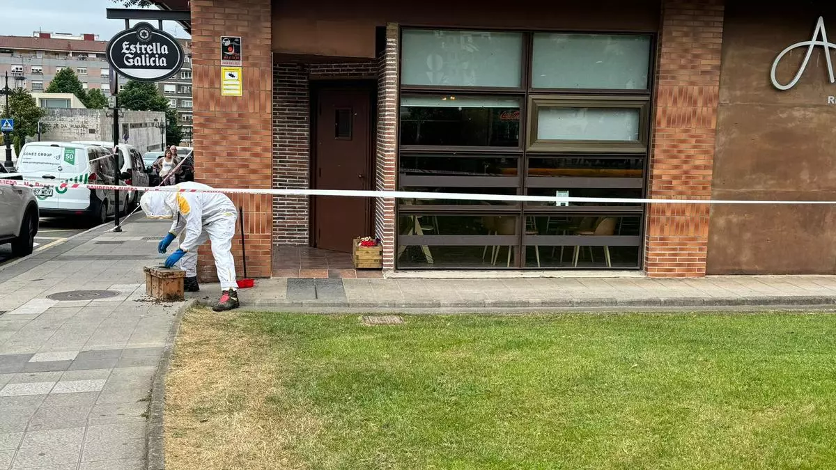 Las abejas invaden un establecimiento hostelero de Oviedo y el dueño se lo toma con humor: "somos tan dulces que entraron a vernos"