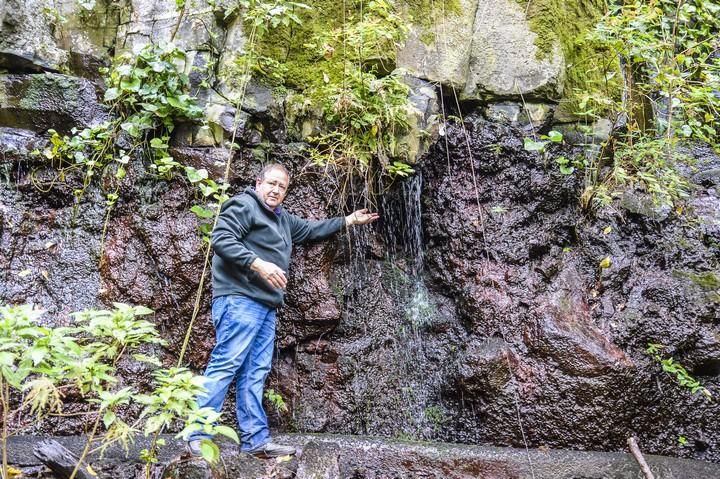 NACIENTES DE AGUA EN EL BARRANCO DE LA VIRGEN