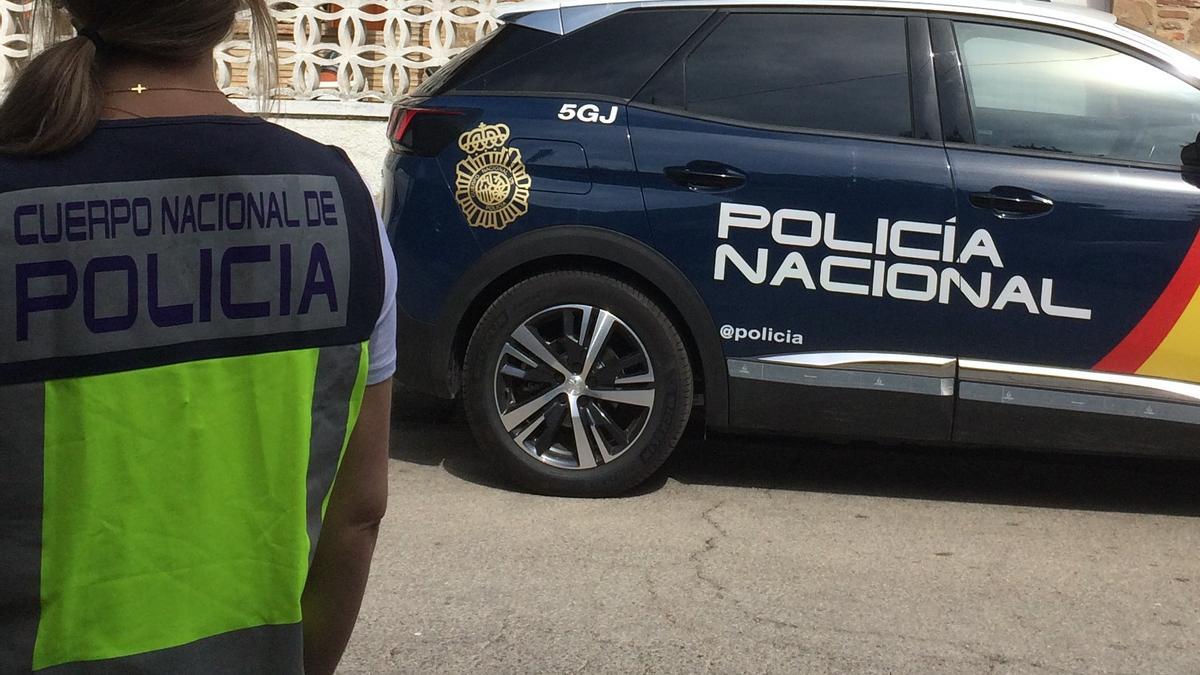 La Policia Nacional ha detingut a catorze persones