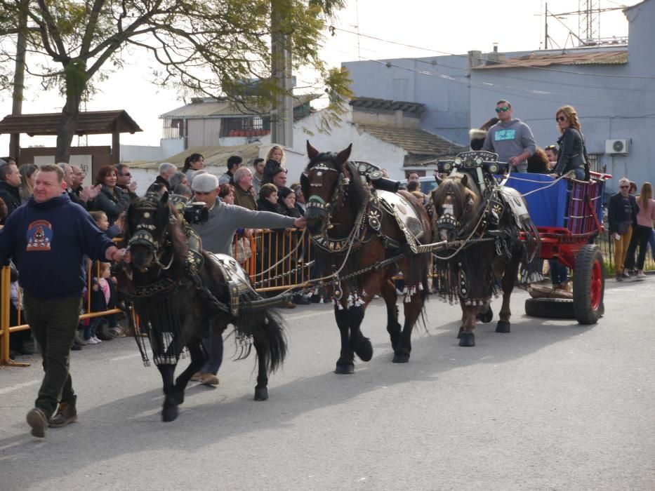 Fiesta de Sant Antoni Abad de Vera