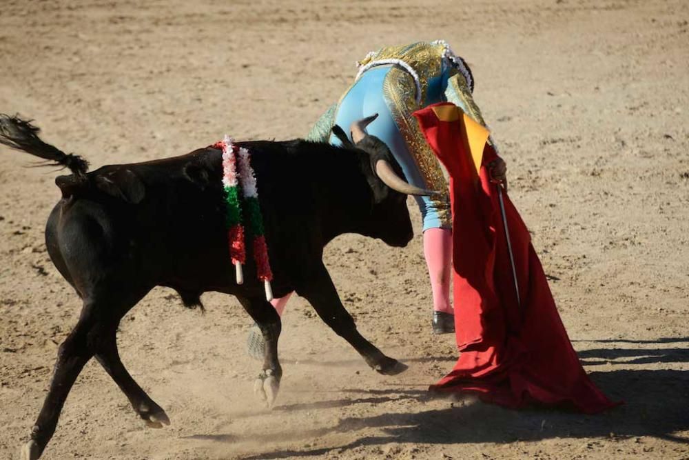 Nueva corrida de toros