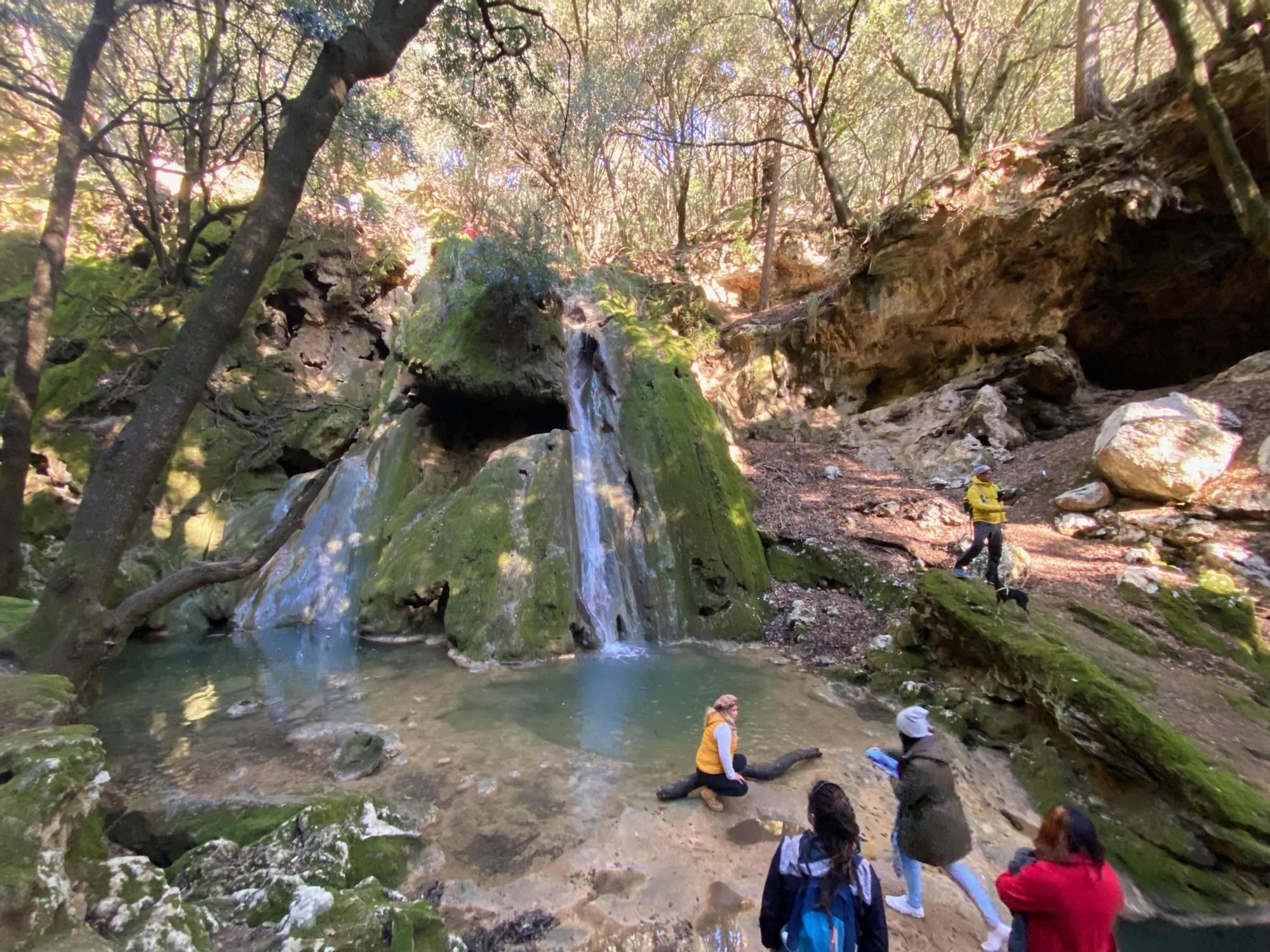 Las imágenes de la espectacular cascada del Salt del Freu