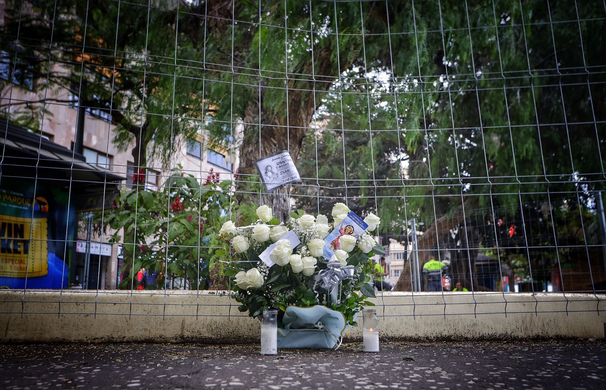 Flores en Santa Cruz de Tenerife donde murió el joven grancanario en la madrugada del Martes de Carnaval