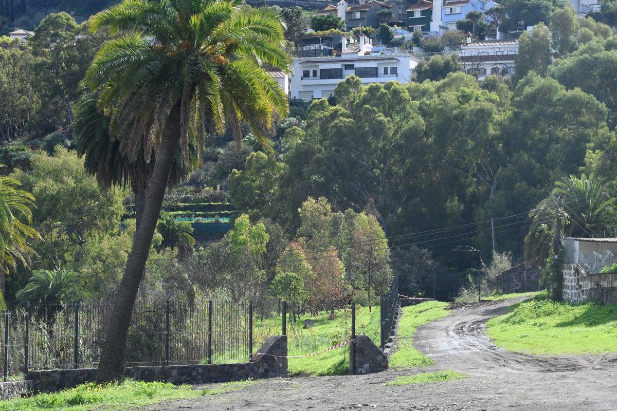 Santa Brígida en Navidad