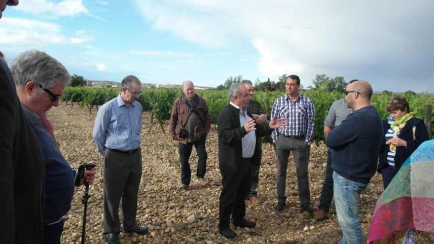 Wenceslao Gil, en el centro, explica a los sumilleres las características del viñedo de la bodega. Foto