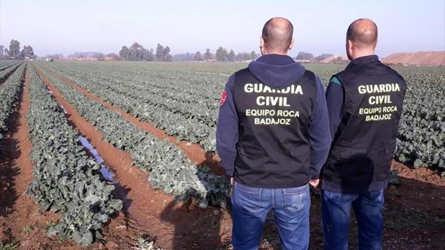 Dos detenidos por robar nueces en varias fincas con intimidación