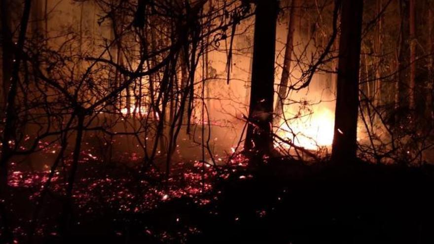 Incendios en Galicia | El fuego quema 5,5 hectáreas en Cuntis