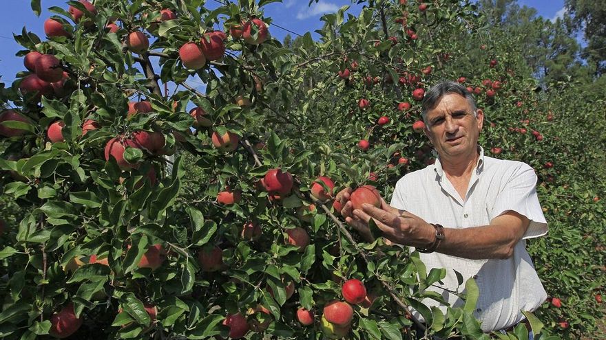 El pionero que perdió su explotación ecológica en los incendios de 2017: «El juez hizo caso a todas las mentiras de la Xunta y a ninguna de nuestras verdades»