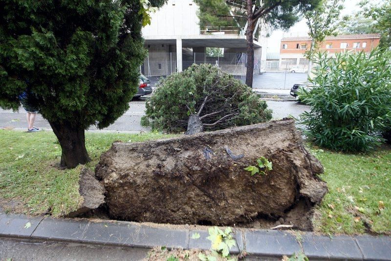 Fuerte tormenta en Zaragoza