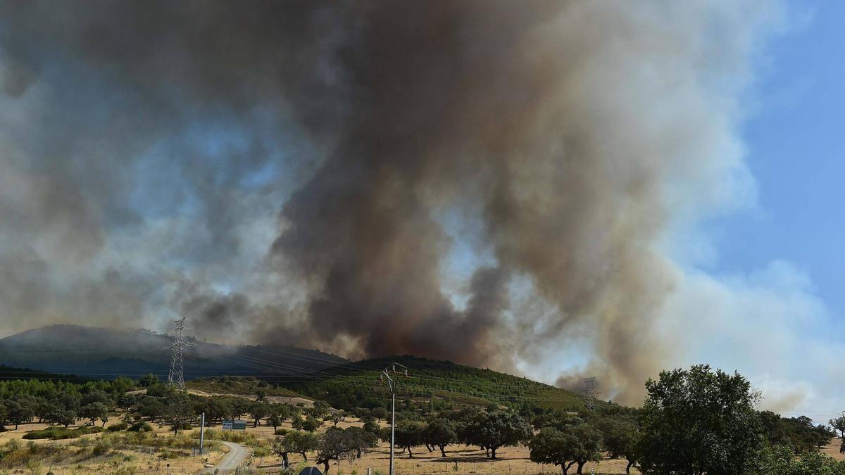 Imagen del incendio que se produjo hace una semana en Casas de Millán.