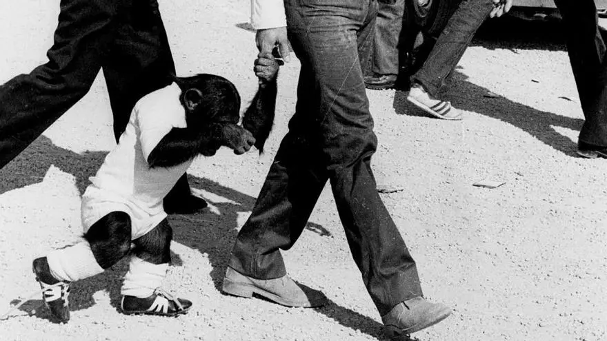 Hace 50 años en Alicante. Del 26 de enero al 1 de febrero de 1976: Pasión por la visita del Real Madrid al Rico Pérez