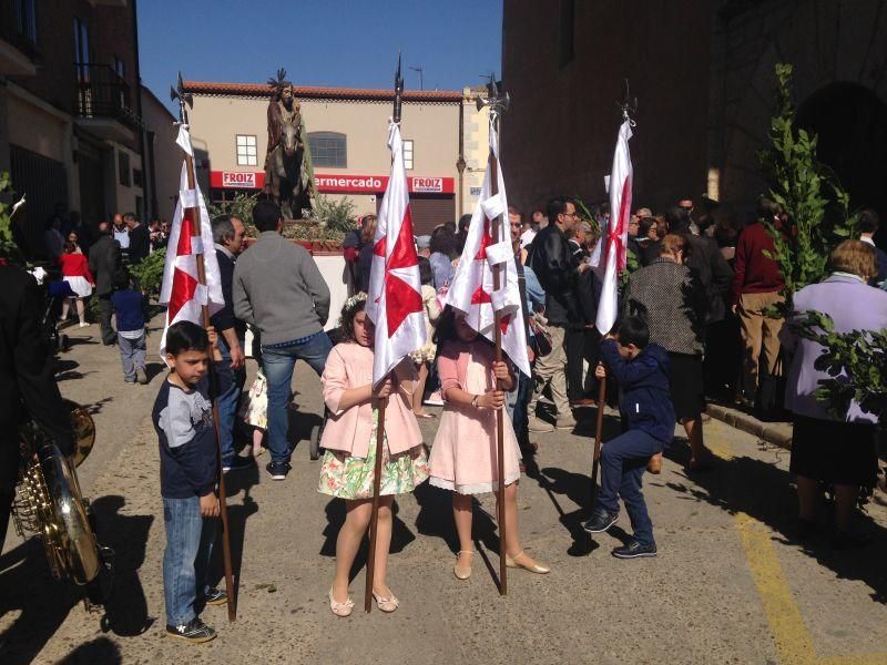 Semana Santa en Toro: La Borriquita