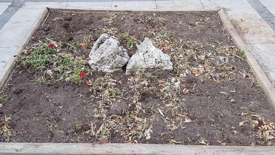 Destrozos en un jardín de la Plaza del Grano.