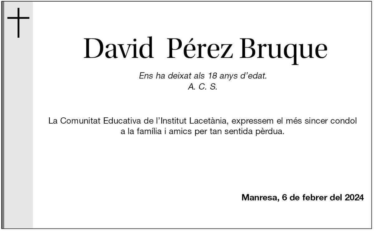 DAVID  PÉREZ BRUQUE
