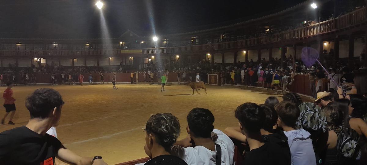 GALERÍA | La verbena taurina de las Fiestas de San Agustín de Toro, en imágenes GALERÍA | La verbena taurina de las Fiestas de San Agustín de Toro, en imágenes
