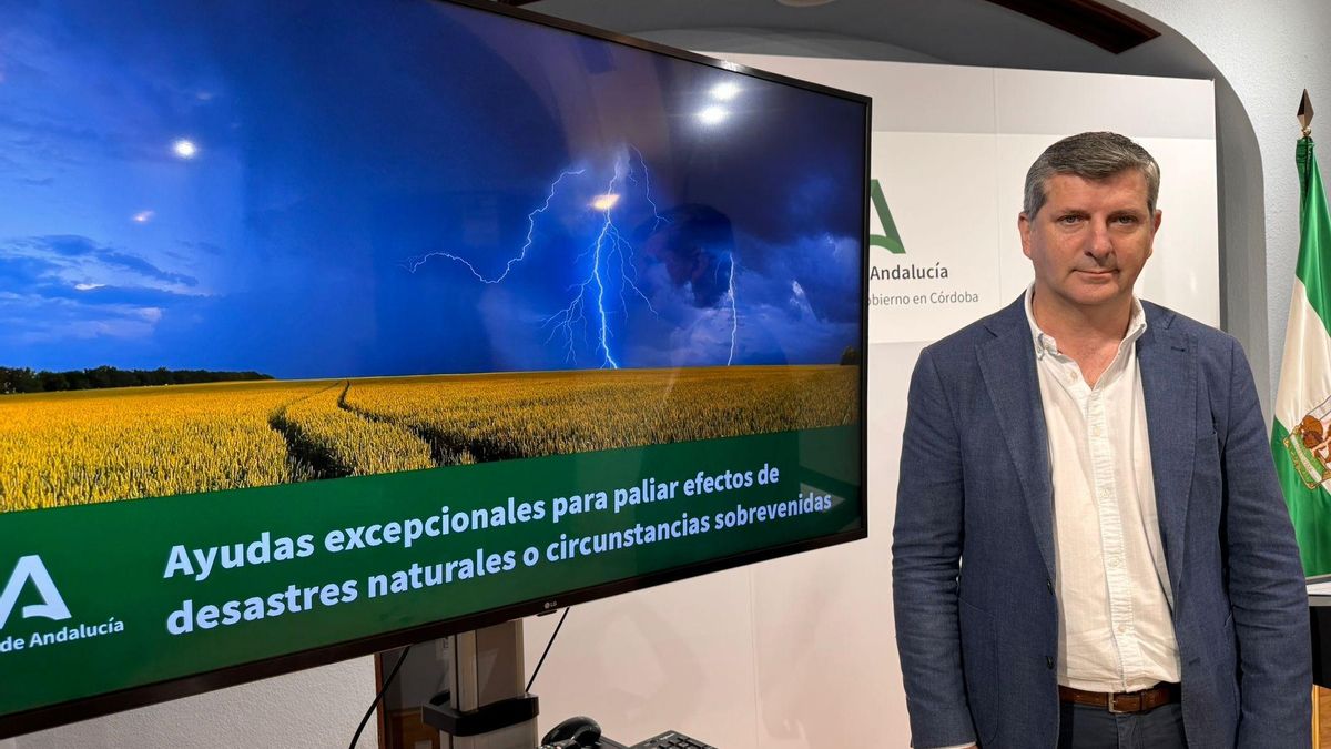 Francisco Acosta presenta el nuevo paquete de ayudas.