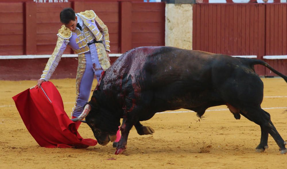 Saúl Jiménez Fortes se encierra con seis toros en la Feria Taurina