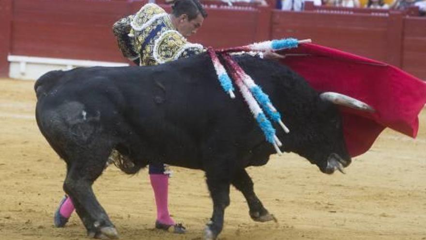 Manzanares, en un pase de pecho al bravo Disparado, al que desorejó.