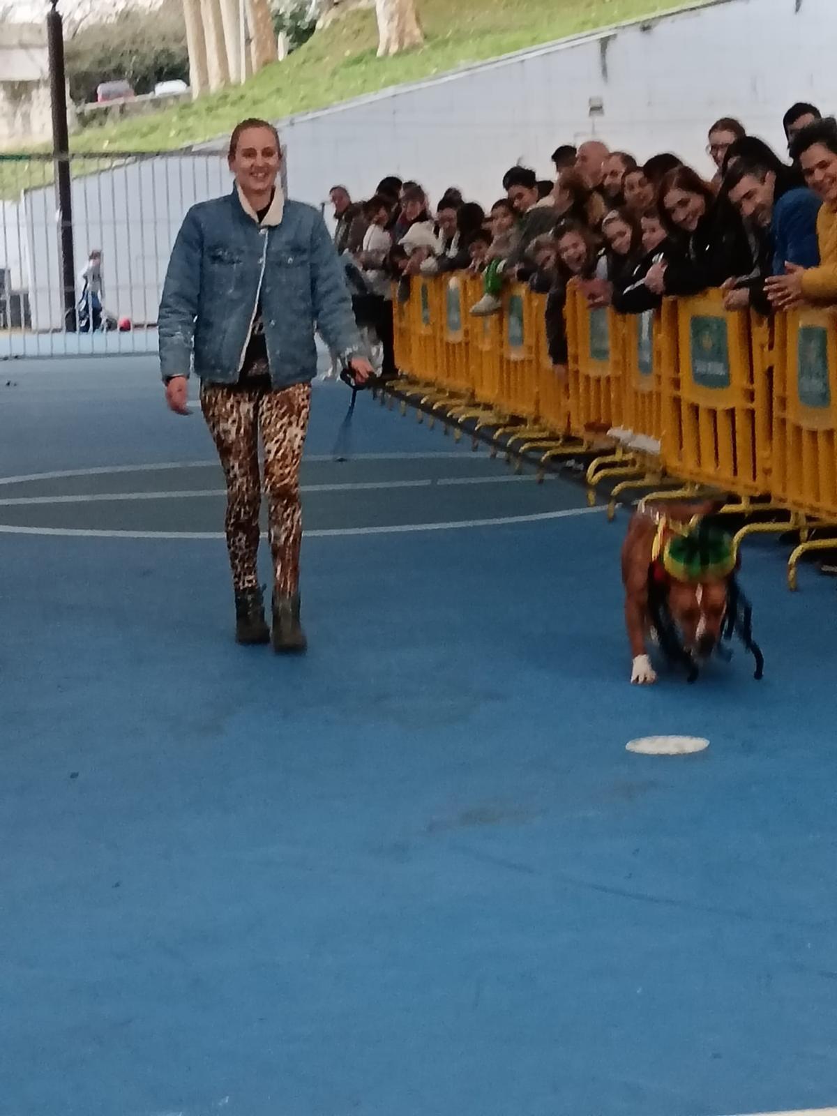El desfile de mascotas de Grado, en imágenes