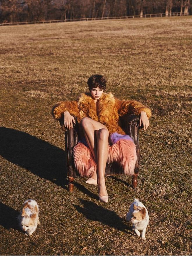 Alabama Muse